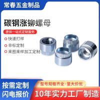 廠家直銷冷墩鍍鋅漲鉚螺母Z-M3M4M5M6M8圓螺母焊接螺母