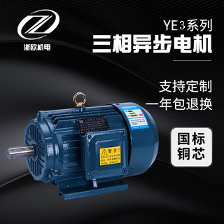 廠家直供三相異步電動機國標銅芯YE3四級380v全系列高功率電機