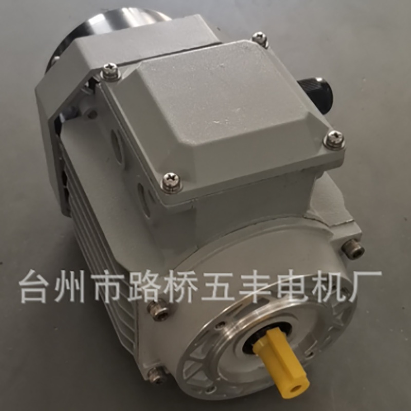 廠家供應(yīng)三相電機(jī)三相異步電動(dòng)機(jī)馬達(dá)鋁殼電機(jī)多規(guī)格電機(jī)