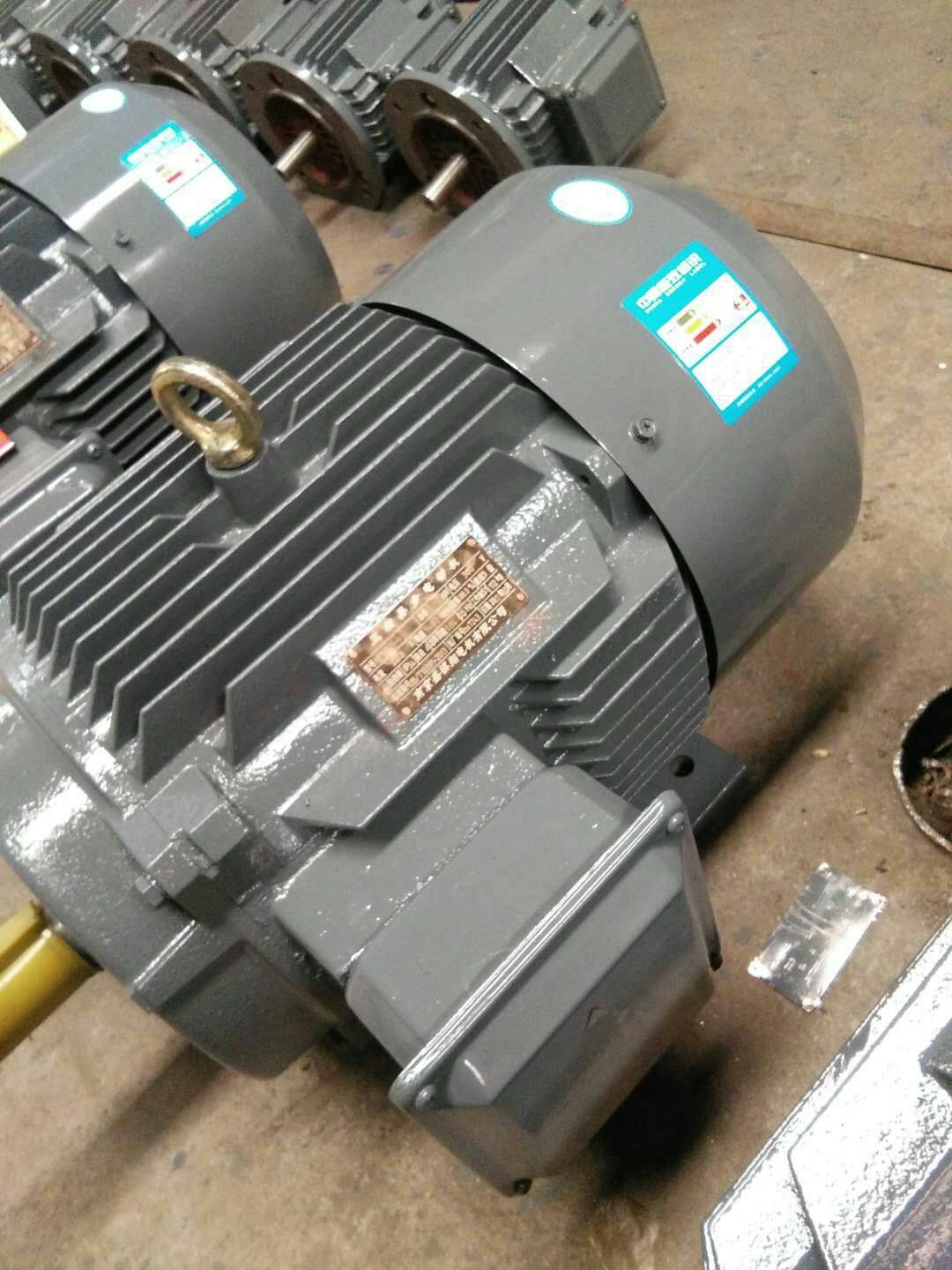 廠家優(yōu)質(zhì)供應(yīng)Y200L1-2 30KW 三相異步電動(dòng)機(jī) B3 /B5/B35