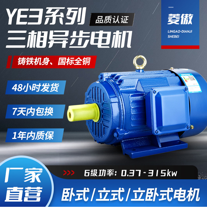 YE3-6極三相異步電動機0.18千瓦-315KW馬達電機380V全銅線圈批發(fā)