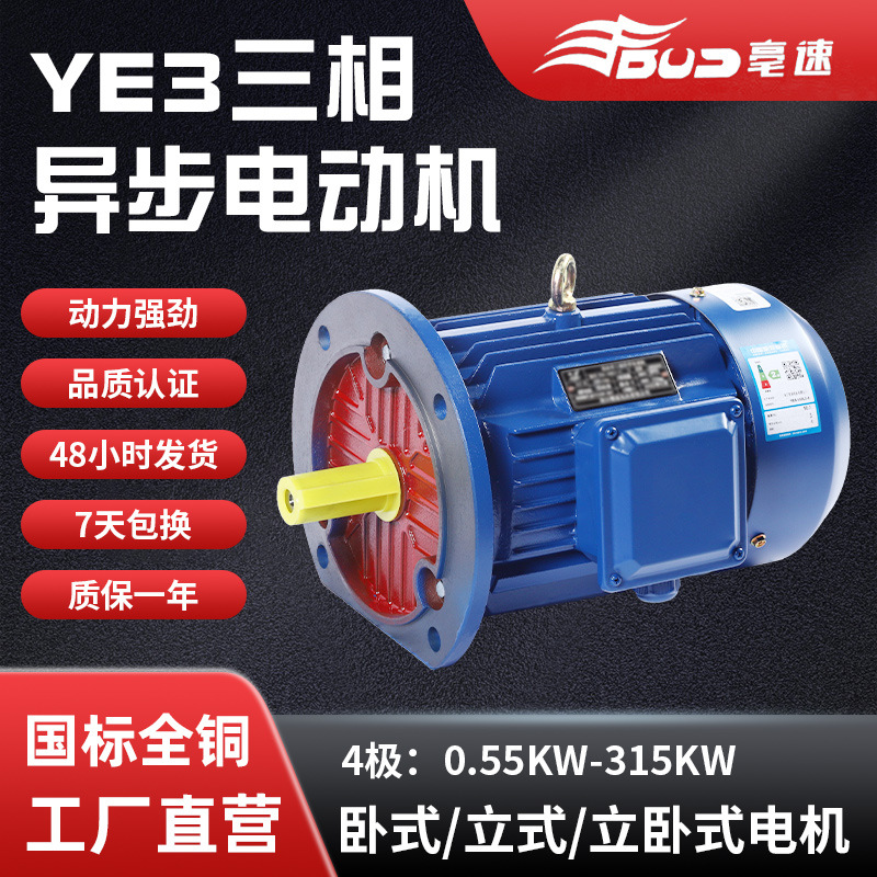 4極三相異步電動(dòng)機(jī)0.55千瓦-160千瓦電機(jī)YE3立臥式交流電動(dòng)機(jī)批發(fā)