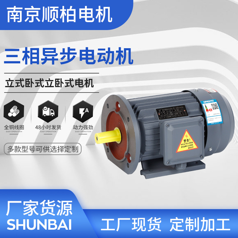 YE3三相異步電動(dòng)機(jī)8極0.25千瓦-220kw機(jī)械設(shè)備電機(jī)380V國(guó)標(biāo)電動(dòng)機(jī)