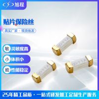 2410貼片保險(xiǎn)絲 電源保護(hù)保險(xiǎn)絲 一次性熔斷貼片保險(xiǎn)管