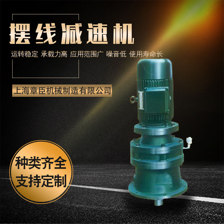專業(yè)生產(chǎn)行星擺線減速機運轉(zhuǎn)穩(wěn)定機械設(shè)備可定制臥立式針輪減速機