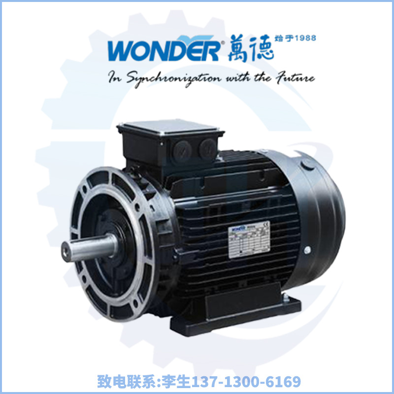WONDER電機(jī)/福建萬(wàn)達(dá)電機(jī)/福州萬(wàn)德電氣/出口歐洲/平替進(jìn)口電機(jī)