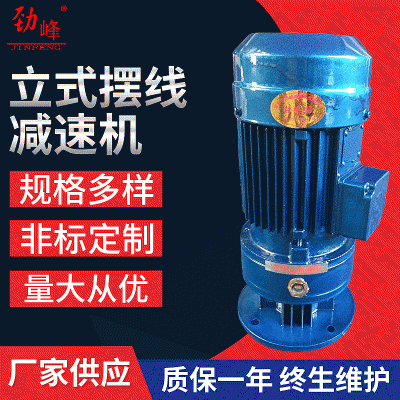 工業(yè)行星X擺線減速機(jī) 微型擺線針輪減速機(jī) 擺線針輪立式減速機(jī)