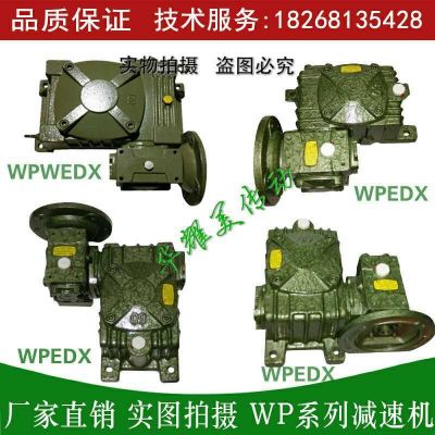 雙級(jí)蝸輪減速機(jī)WPEA(SOX)WPWE WPWED WPEDA(SOX)40/250型廠價(jià) 促銷