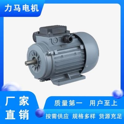 YY5012分馬力電機 電容運轉(zhuǎn)三相異步電動機 風扇、醫(yī)療器械用