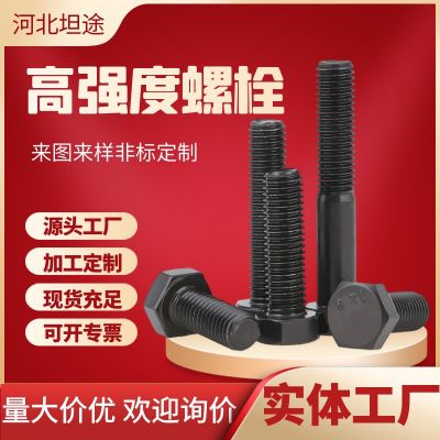 高強(qiáng)度螺栓 8.810.912.9高強(qiáng)度外六角螺栓螺絲 現(xiàn)貨發(fā)黑 高強(qiáng)螺栓