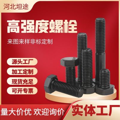 高強(qiáng)度螺栓 現(xiàn)貨供應(yīng)8.8級(jí)高強(qiáng)度外六角頭螺栓 高強(qiáng)度外六 角螺絲
