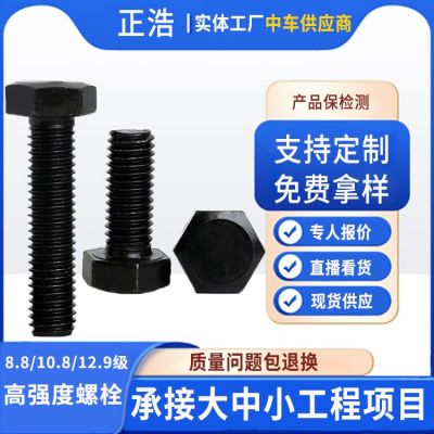 8.8級外六角螺栓高強度螺絲廠家m20全絲半牙高強度標準件 高強螺栓
