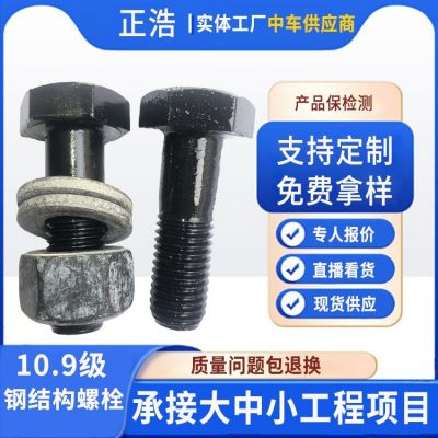 10.9級鋼結構高強度大六角頭螺栓絲國標m22高強螺栓m16鋼 結構螺栓