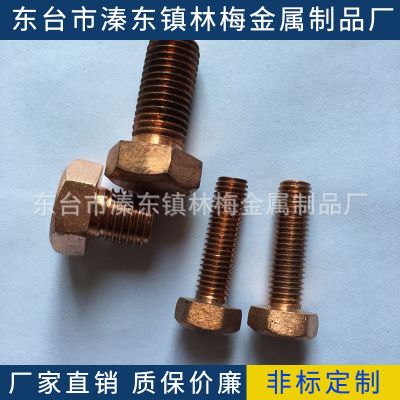 T2紫銅螺栓M12*16-100外六角，螺母，墊片，絲桿，內(nèi)六角，U型卡