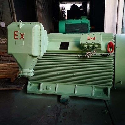 品莘YB3-560-4 CT4高壓防爆電機(jī)