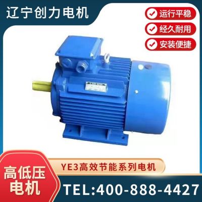 YE3超高效率節(jié)能電機(jī) 三相異步交流電動機(jī) 國標(biāo)全銅 可按需定制