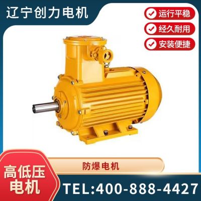 全新立式粉塵防爆電動機(jī) 2級4級6級三相異步馬達(dá) 大速定制電機(jī)