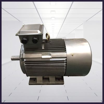 動(dòng)力強(qiáng)勁 規(guī)格齊全 Y2系列低壓鑄鐵TEFC高效三相異步感應(yīng)電動(dòng)機(jī)