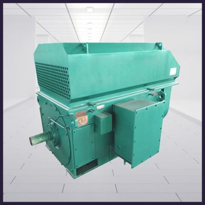 YR系列高壓三相異步繞線型轉(zhuǎn)子滑環(huán)式電動(dòng)機(jī)