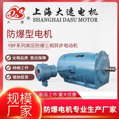 YBF系列高壓防爆電動(dòng)機(jī)全銅線圈力超電機(jī)防爆型三相異步電機(jī)