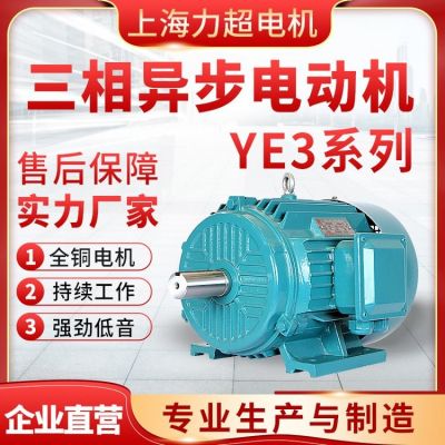 變頻調(diào)速YE3電動(dòng)機(jī)全銅低噪音三相異步電機(jī)減速機(jī)