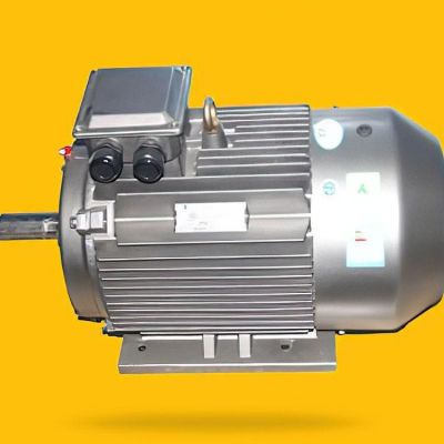 YE5系列三相異步電機 應(yīng)用廣泛 反饋良好 盛之豪出品