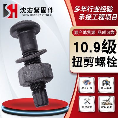 現(xiàn)貨供應(yīng)扭剪螺栓 鋼結(jié)構(gòu)扭剪螺栓 10.9S級(jí)鋼結(jié)構(gòu)連接件半 圓頭