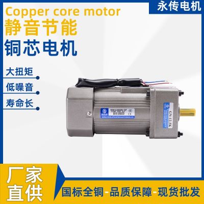 供應(yīng)1200瓦定速減速電機(jī) 圓柱齒輪低噪音小型變速電機(jī)批發(fā)