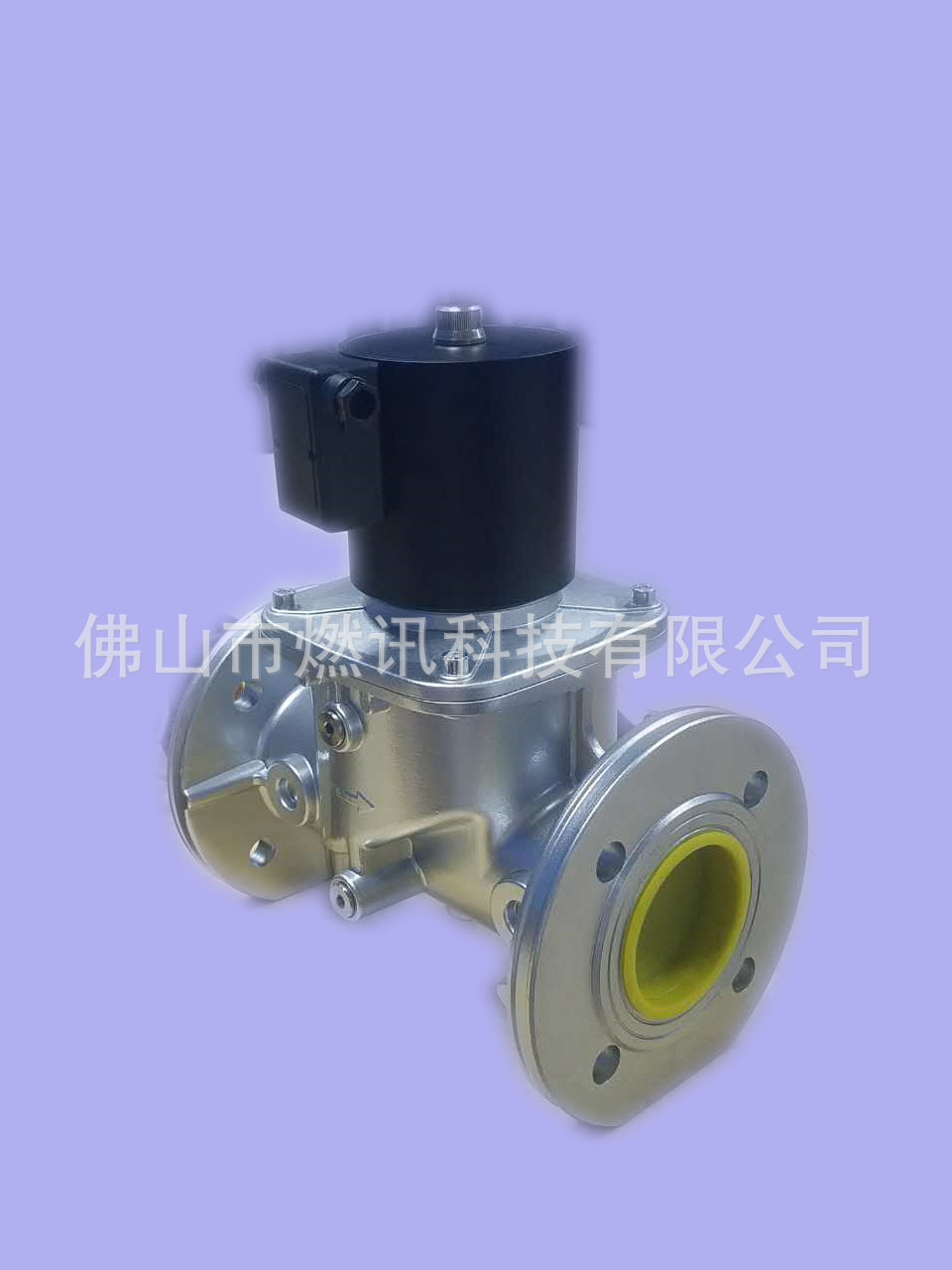 電磁閥DN65伊萊克斯國產(chǎn)03