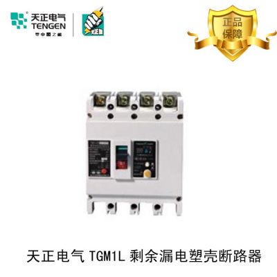 天正電器 TGM1L漏電塑殼斷路器