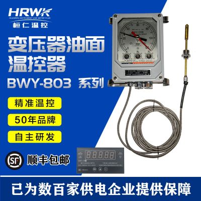 BWY-803AG(TH) 變壓器溫度指示控制器 油面溫度計 桓仁溫度測控