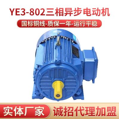 批發(fā)三相異步電動機0.75千瓦4級YE3-802-4電機380V馬達機器電動機