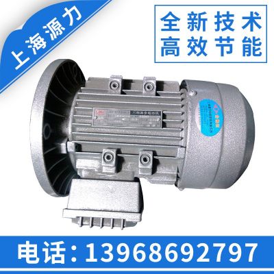 供應(yīng) YS系列立式三相異步電動(dòng)機(jī) Y100L2-4防爆多級(jí)電動(dòng)機(jī)3kw