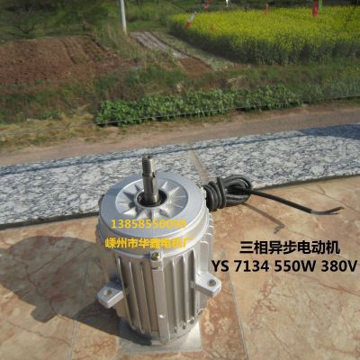 三相異步電動(dòng)機(jī)380V冷庫(kù)冷凝器電機(jī)YS7134 550W100%全銅線電機(jī)