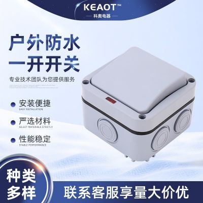 戶外防水開(kāi)關(guān) 戶外防水一開(kāi)開(kāi)關(guān) 電源面板家用室外明裝防雨按鈕