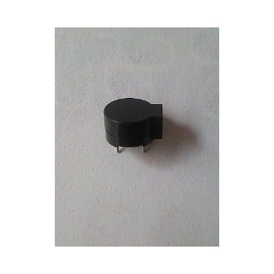 二等品12075插針側發(fā)聲蜂鳴器