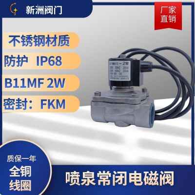 電磁閥消防、防水 、潛水、噴泉 220V/24V 水閥新洲不銹鋼電磁閥