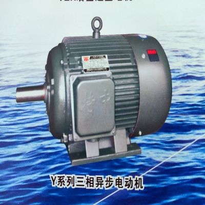 Y系列三相異步電動機 節(jié)能低壓大功率電機 變頻調(diào)速 特中