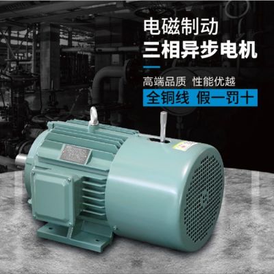 高科 YEJ2系列電磁制動三相異步電動機(jī) 電磁制動電機(jī) 剎車電機(jī)