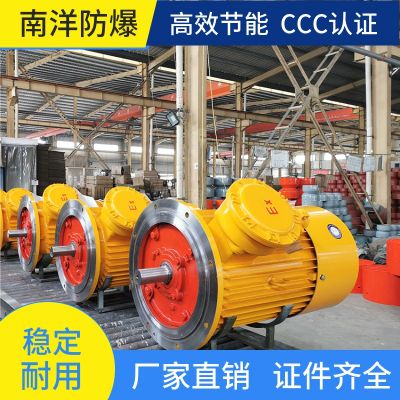 YBS 輸送機(jī)用隔爆型三相異步電動(dòng)機(jī) 南洋全國(guó)供應(yīng)