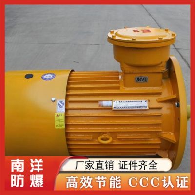 南洋防爆電機(jī) 廠家供應(yīng)YBS防爆80V/660V 額定頻率 50Hz