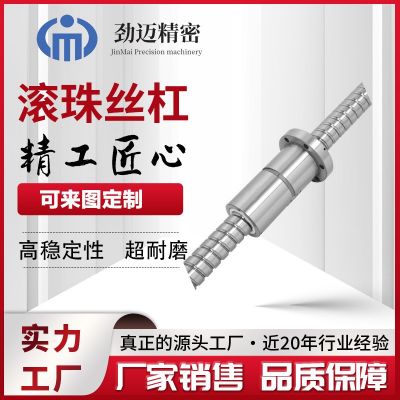 供應(yīng)滾珠絲杠螺母 高精密滾珠絲杠高速重負(fù)載型絲杠加工