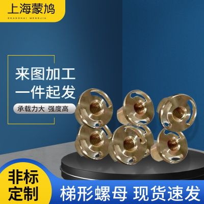 替代米思米梯形螺母 t型螺母 螺母件異型件梯形絲配套非標(biāo)件