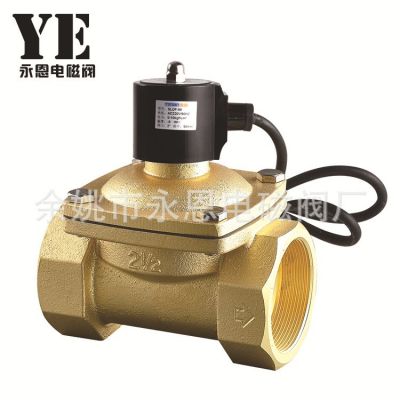 黃銅電磁閥 內(nèi)螺紋水電磁閥 工業(yè)機(jī)械設(shè)備電磁閥DN65