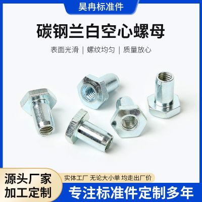 碳鋼蘭白空心螺母 六角T型螺母 六角打孔螺母 空心穿線接頭螺母