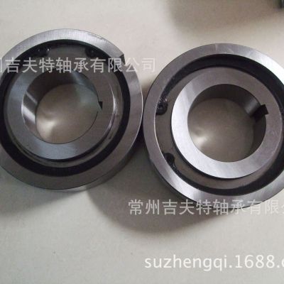 單向離合器 楔塊式 滾柱式 超越離合器 逆止器 CKA80×26-30