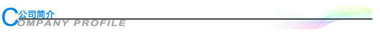公司簡(jiǎn)介