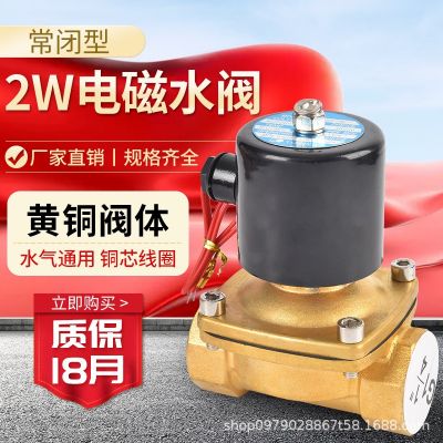 2W200-20/025-06/040-10二位二通水閥水用電磁水閥控制閥鋅銅體