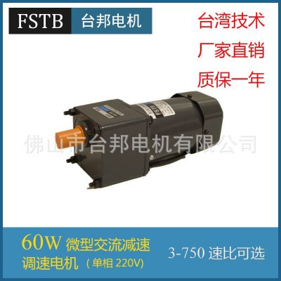 廠家直銷FSTB佛山臺邦交流220V 60W調(diào)速電機馬達5IK60RGN-CF/5GN