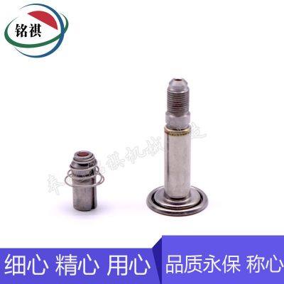 電磁閥配件 不銹鋼材質(zhì)純鐵鐵芯 動(dòng)鐵芯 先導(dǎo)頭組件 汽車配件